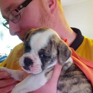 Meet your Posher, Matt